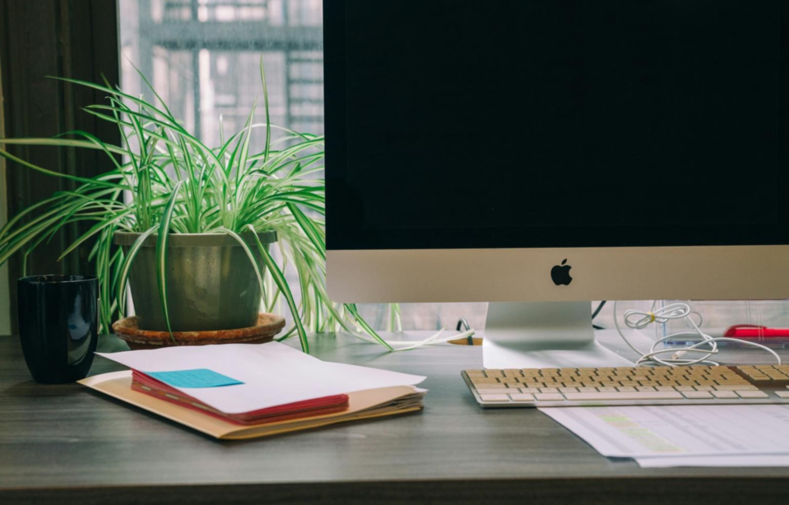 Professionelle Wellness-Beratung in ruhiger Umgebung